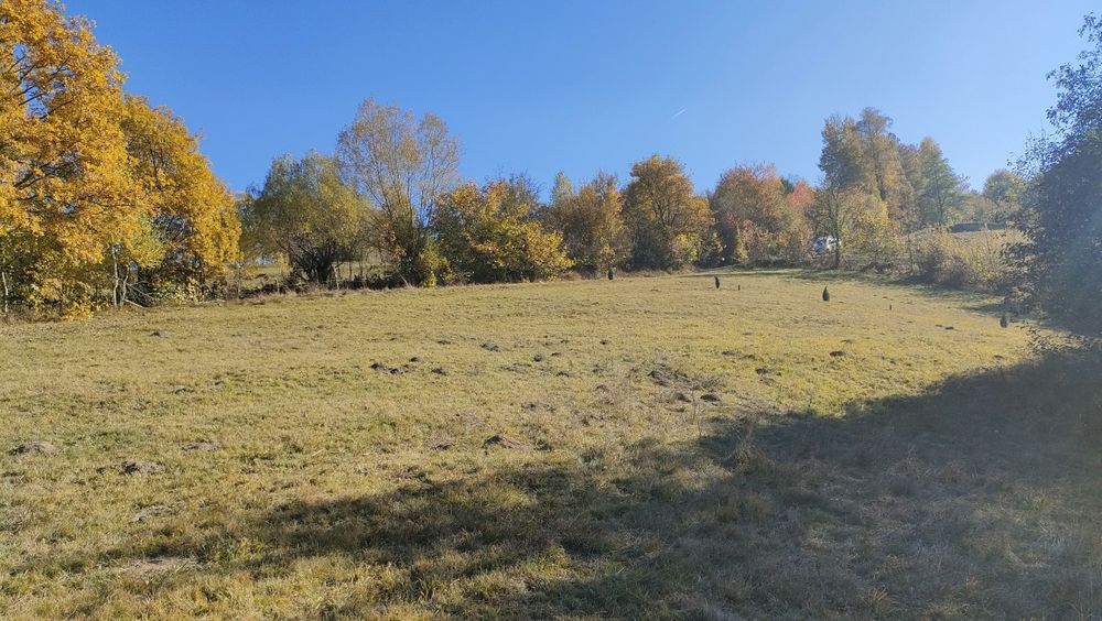 Teren zona Bran Tohanita!