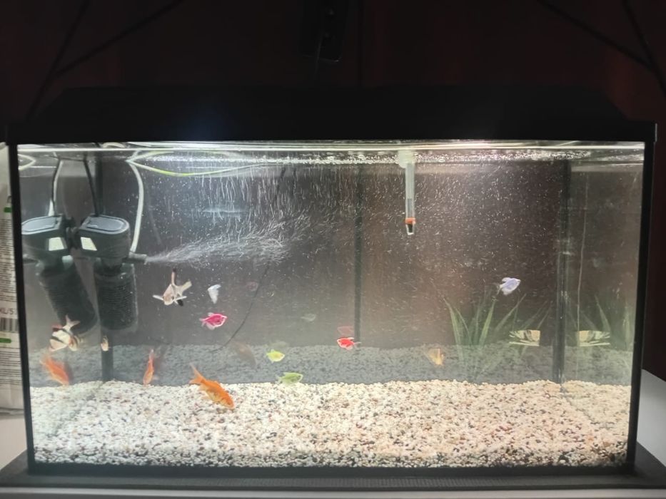 аквариом хороший