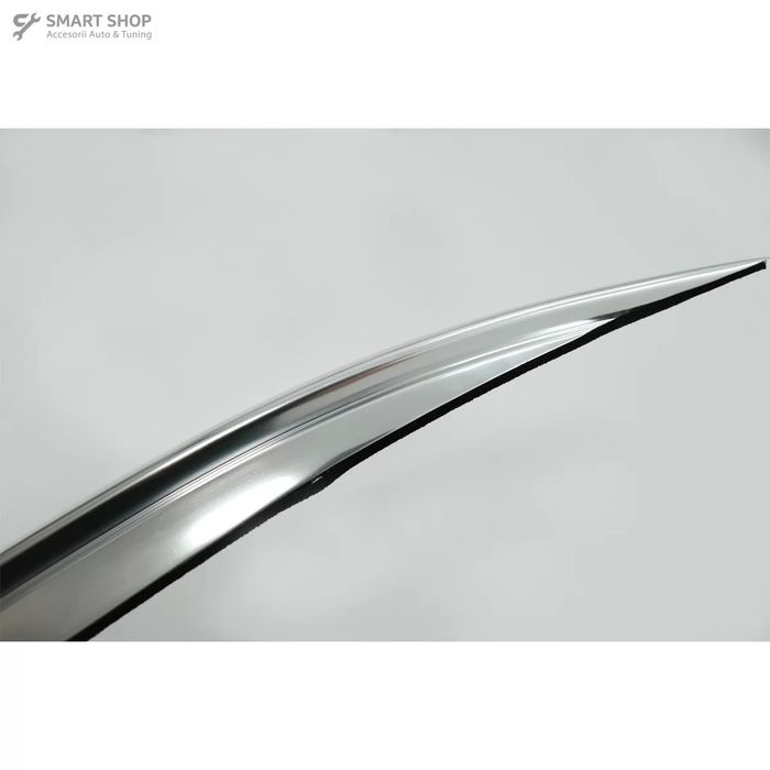 Bari Decorative Longitudinale Plafon BMW X6 F16 (2015-2019) Aluminiu