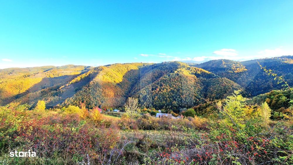 TEREN CU PANORAMA, strada principala, 9959mp, Marisel