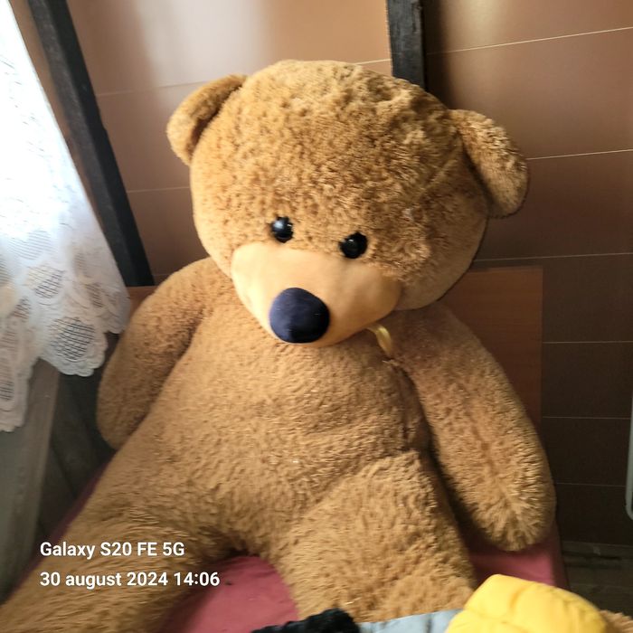 Vand jucărie plus
