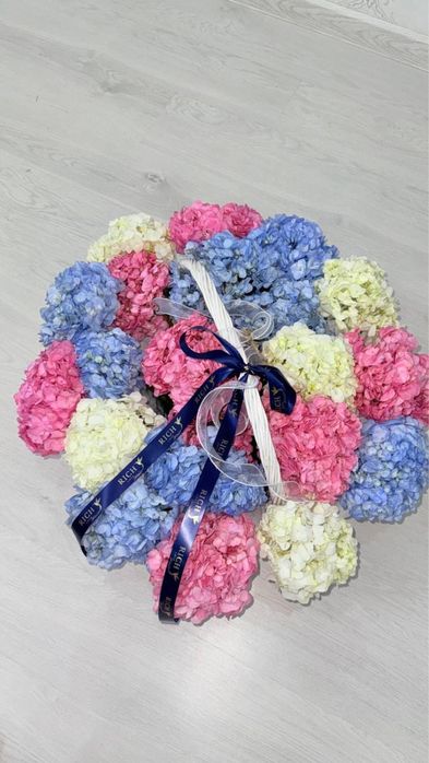 Гортензия - 21шт.