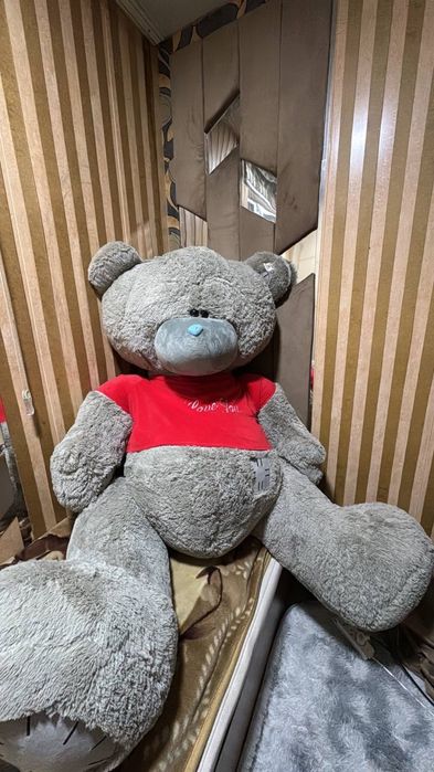 teddy sotiladi kelishamiz