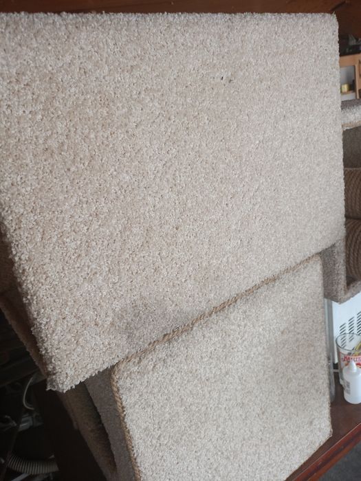 Дом для котят хороший