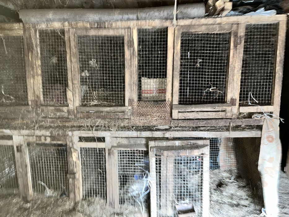 Продам большие клетки