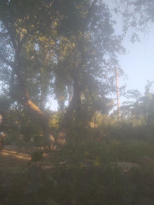 Дача сотилади юкори Чирчик корсой томонда