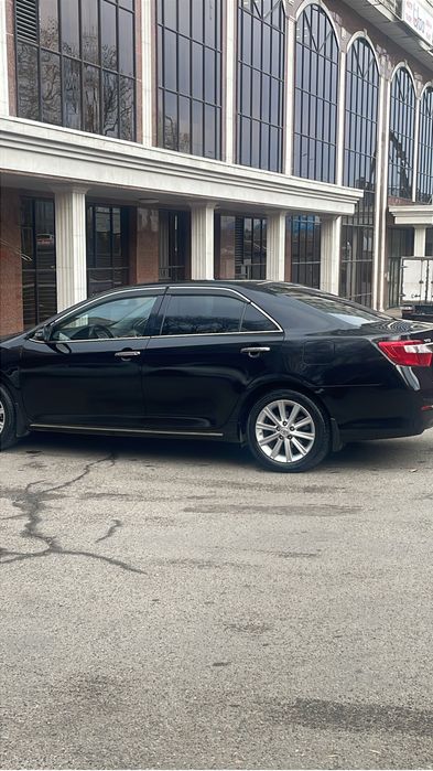 Аренда авто с водителем