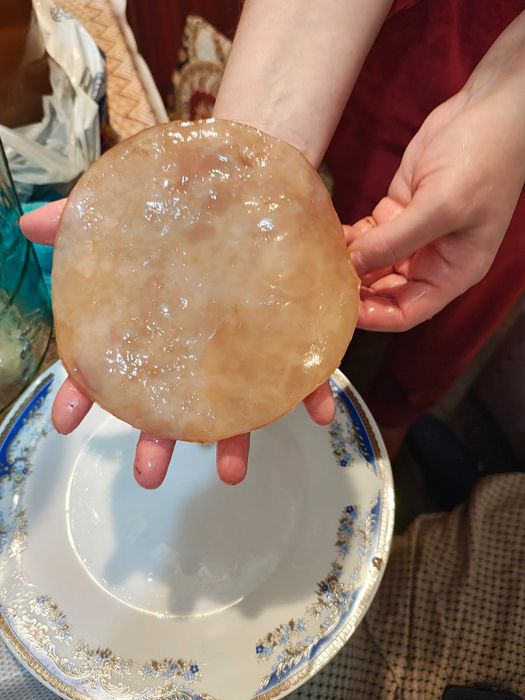 Kefir de lapte apa ciuperca tibetana japoneza Kombucha