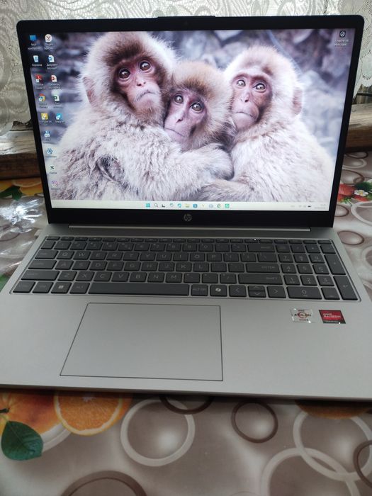 Ноутбук hp новый