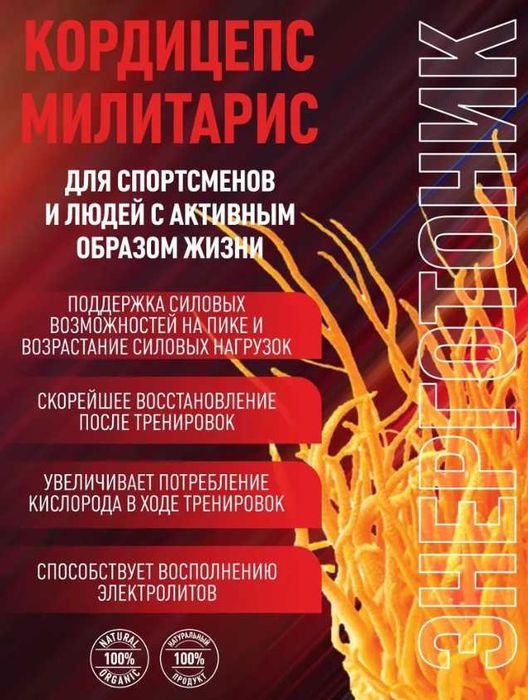 Кордицепс военный из Башкирии