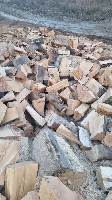 Lemne de foc fag si carpen capete uscate sau verzi 600.lei tona