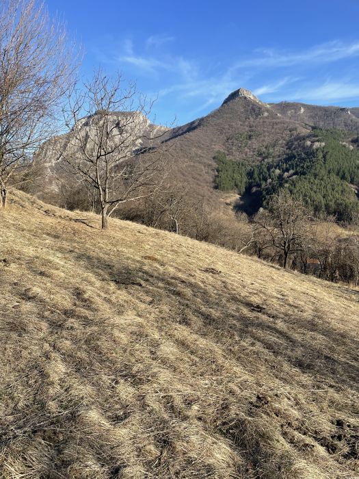 Продава се Парцел в с. Згориград, Област Враца - 3000 кв.м за 14 €/кв.м - Снимка #5