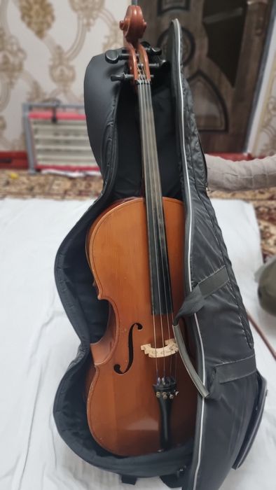 Violanchel Savetskiy