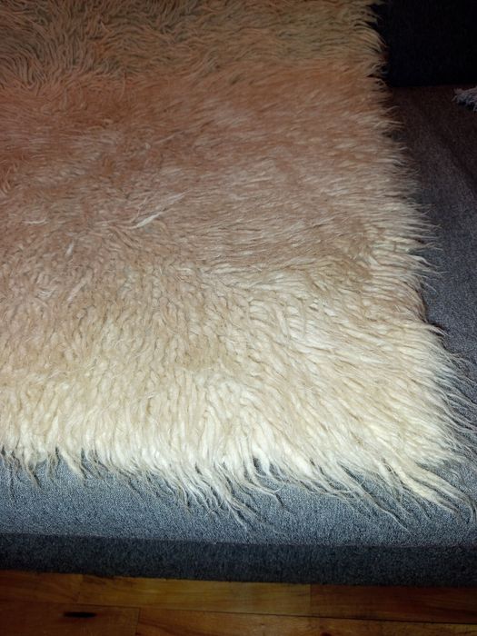 Български китеник