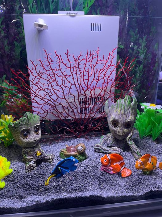 Akvarium Dokoni Sergili va mirobod