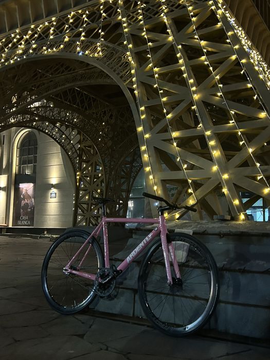 Fixed geat ardently arena lite