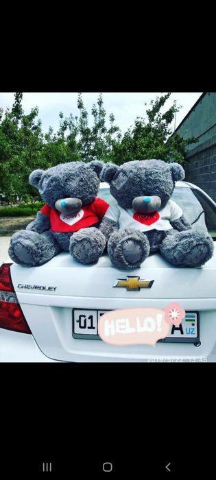 Teddy orginal supper skidka