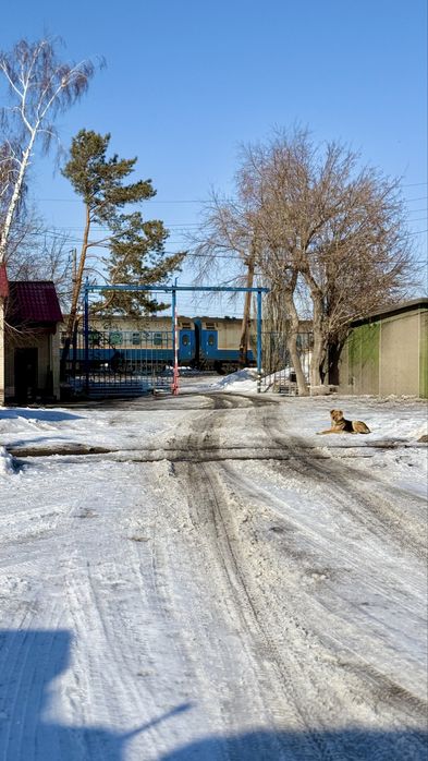 Контейнера в аренду, в городе