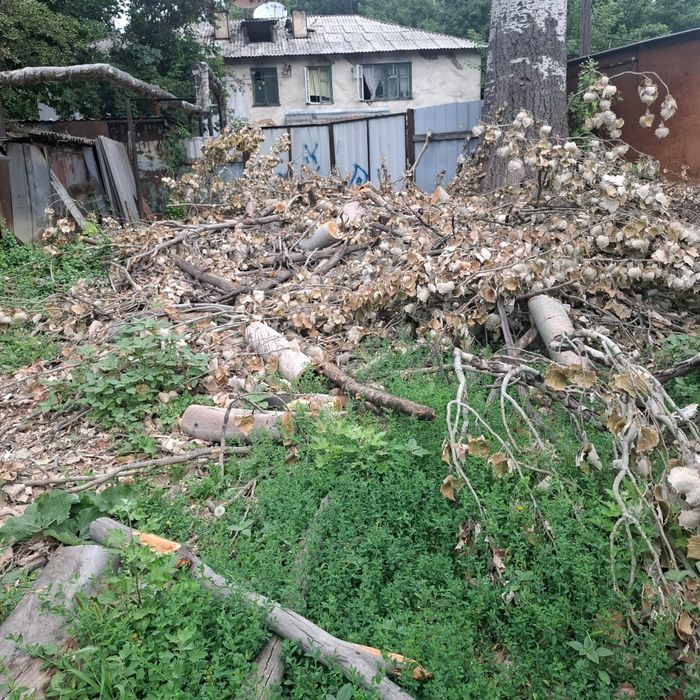 Дрова бесплатно,самовывоз