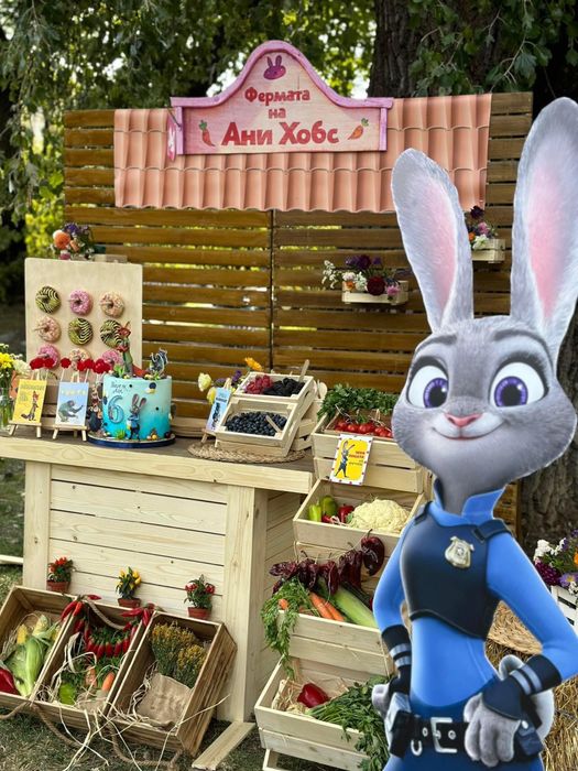 Наем - Паравани, стелажи, маси, щайги и др. Под наем за декор