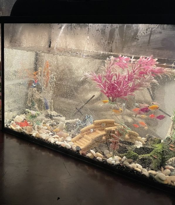 Продам аквариум 50л