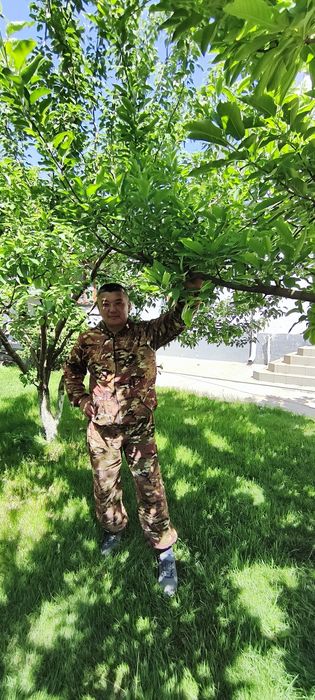 Услуги садовника