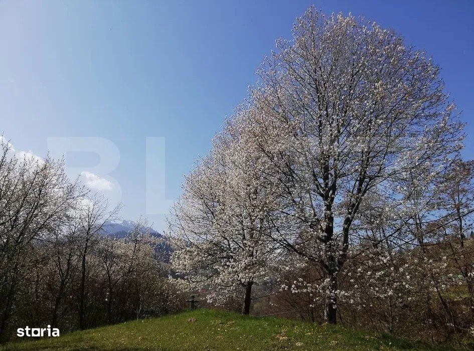 Teren 2500 mp, la strada, Ceahlau,, locatie perfecta