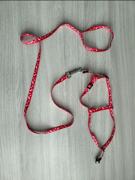 Ошейник с колокольчиком