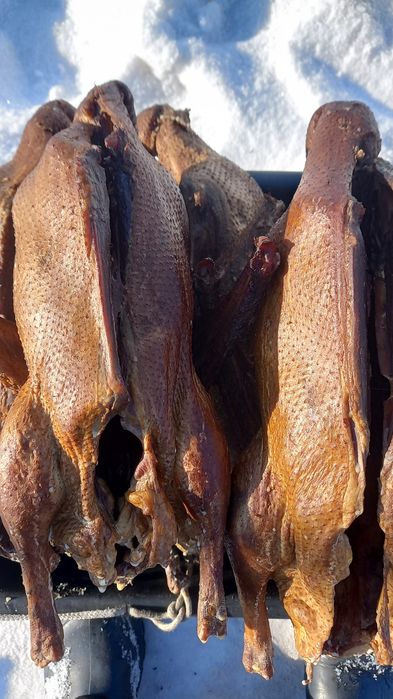 Продам копчёного гуся