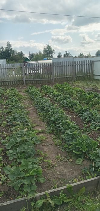 Продам дачу в обществе Борки