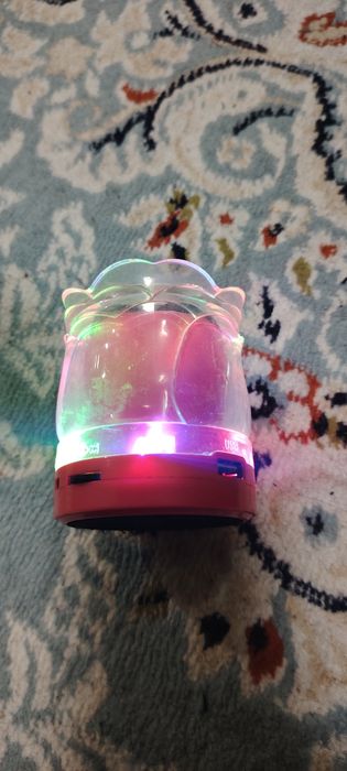 Kalonka va pilisoscha