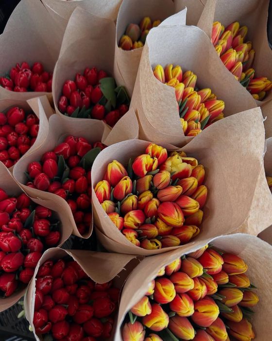 Тюльпаны к 14 февраля и 8 марта оптом