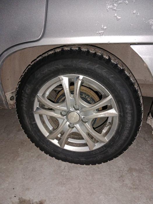 14 болонсыз дйсынын озы гана