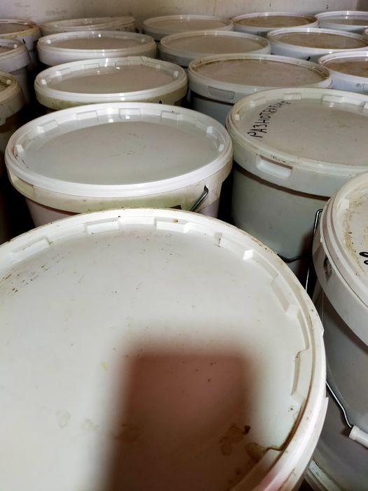 Жантак мёд натуральный