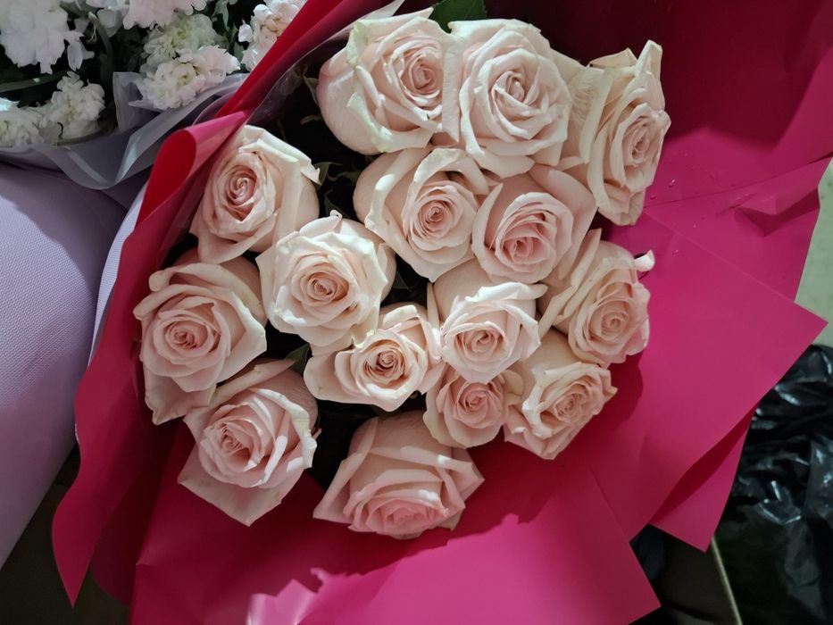 Цветы Живые б/у.