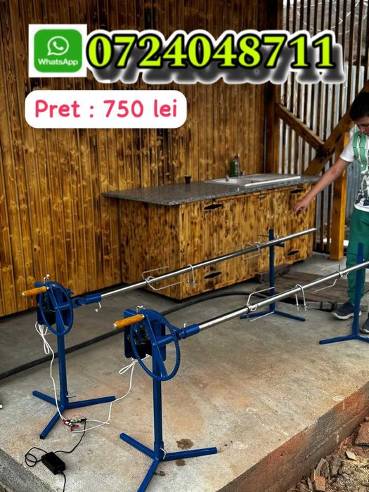 Rotisor electric profesional