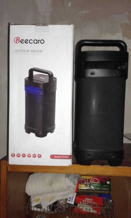 Музыкальный динамик