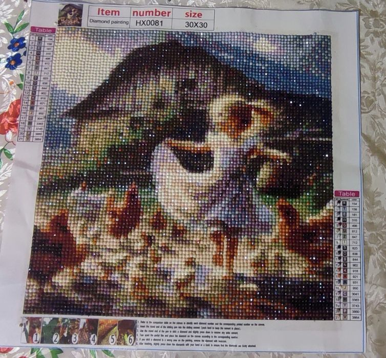 5D диамантени гоблени