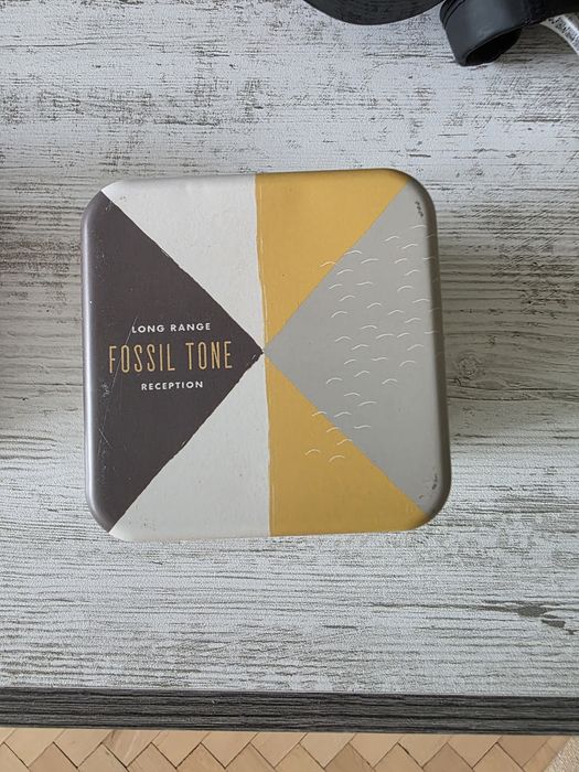 Часовник Fossil Neutra FS5941