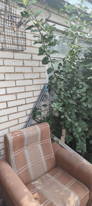 Продам дачу ,общество Вагонник