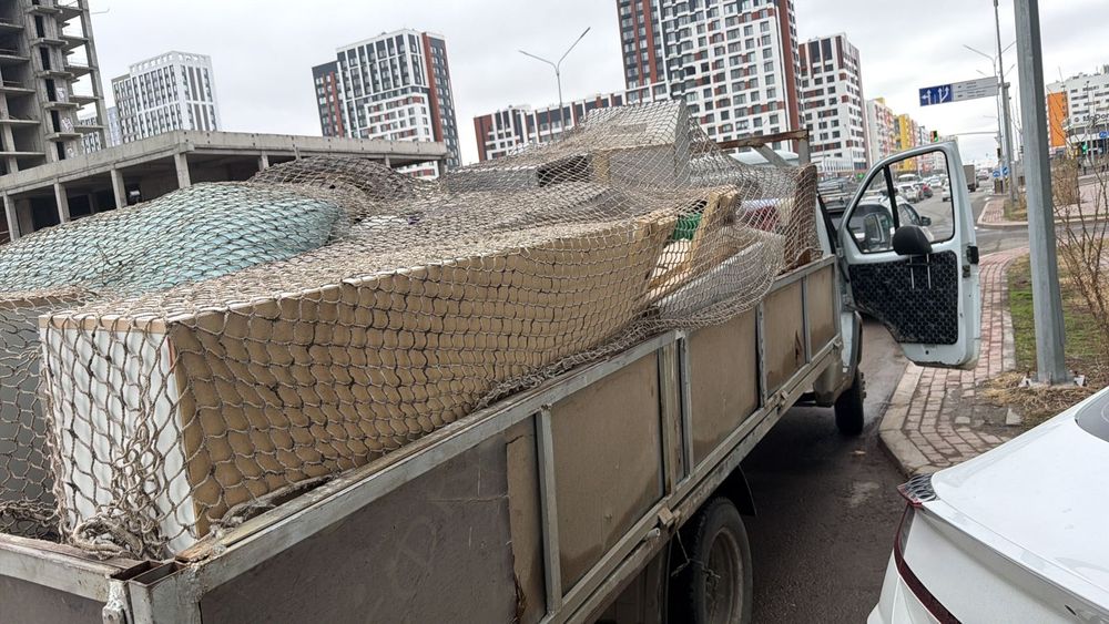 Услуга недорого вывоз мусора. Вывоз строительного мусора