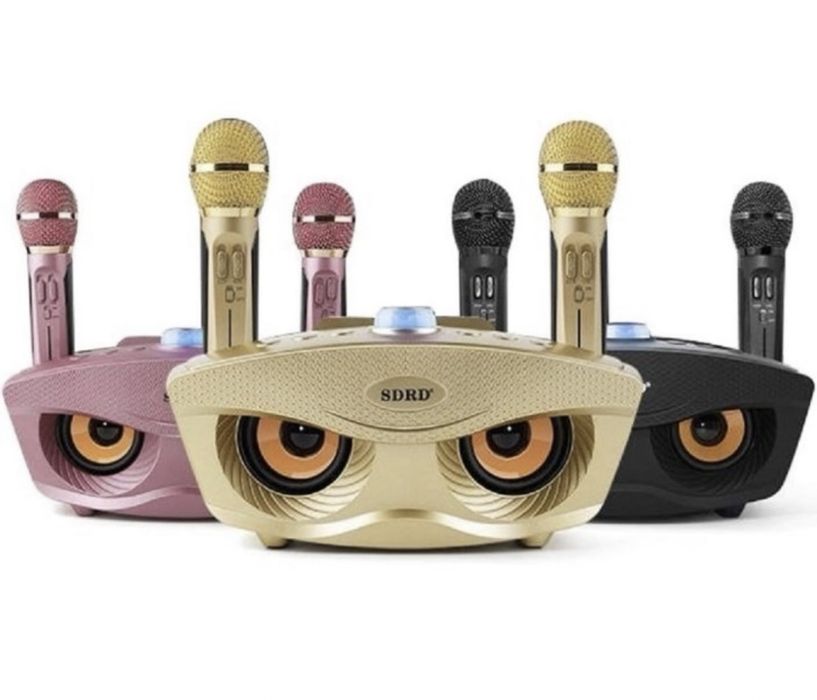 Беспроводная караоке система SDRD SD-306