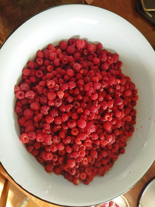 Продаю домашнюю малину