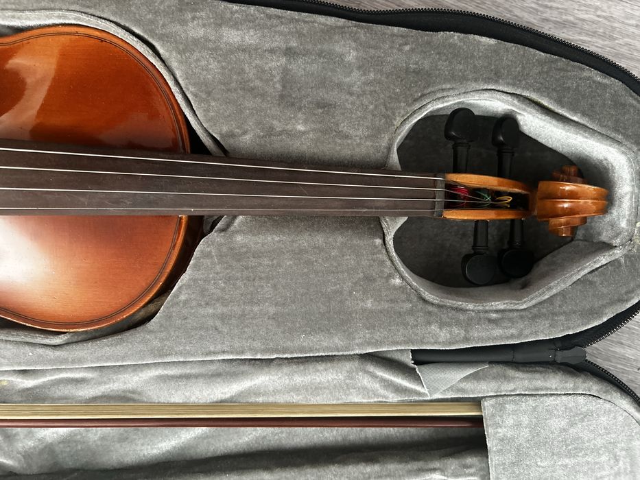 Vioara arcus si toc