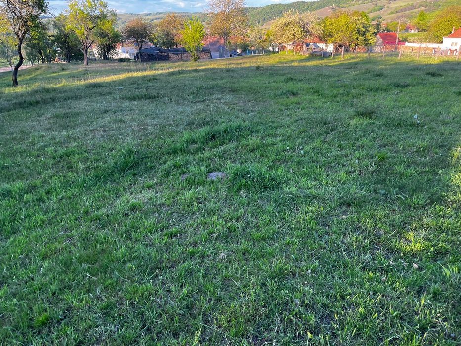 Vând teren extravilan Pianu de Sus