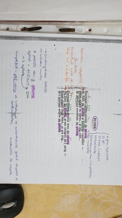 BAC DE 10 Dosar eseuri romana SUBIECTUL AL III-LEA