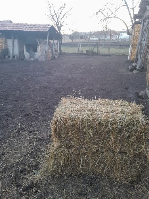 Baloț de lucernă și de paie