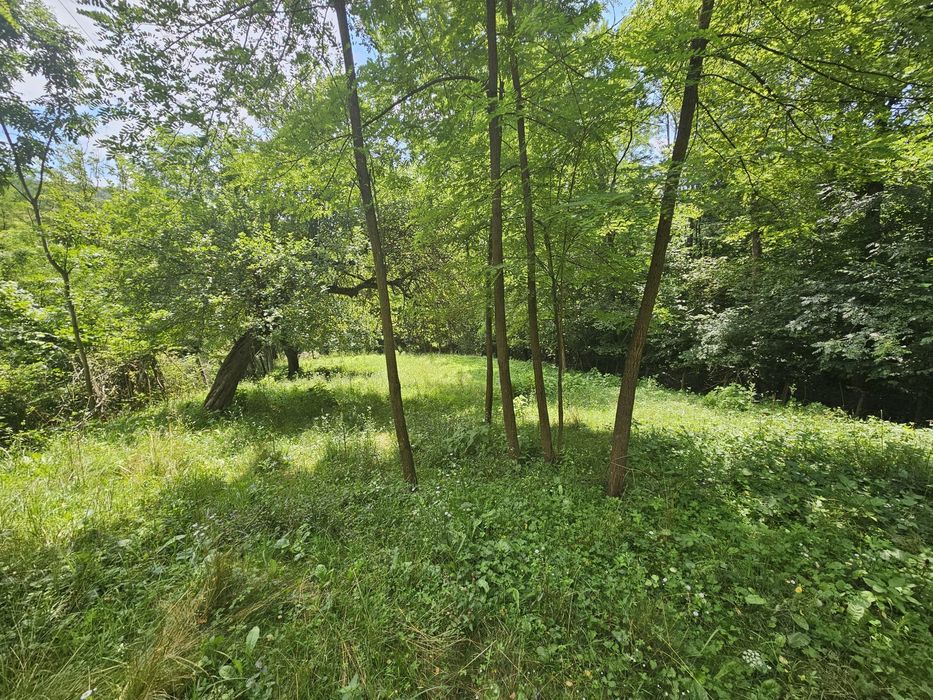 Vand Teren intravilan zona Varfuri, Dambovita