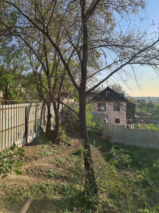 Отдам дрова/деревья даром