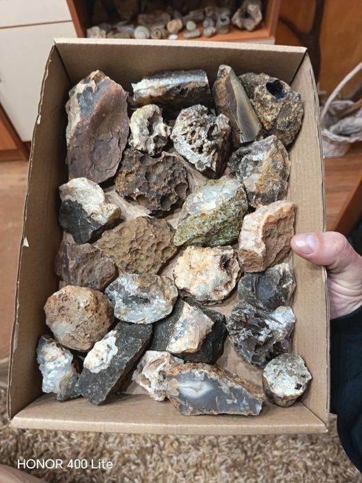 Кутия с минерали